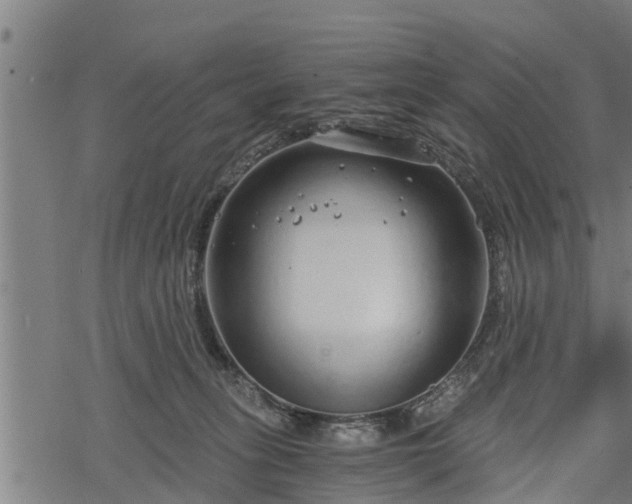 X0000068810275200605121258