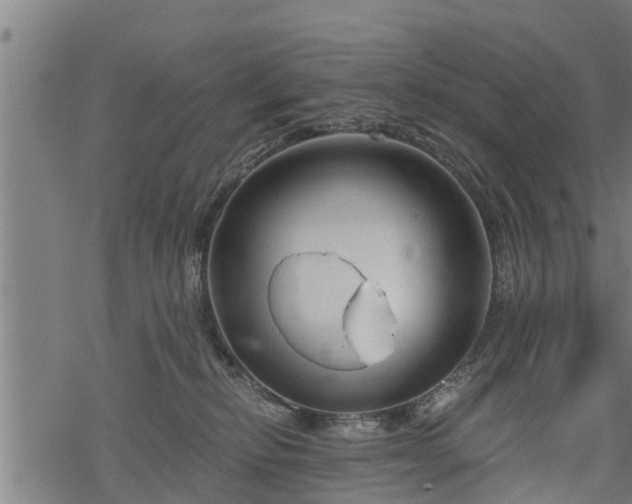 X0000068810278200605121258