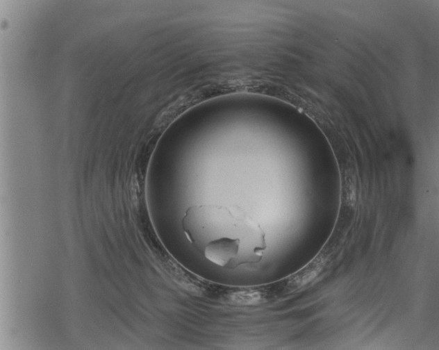 X0000068810279200605121258