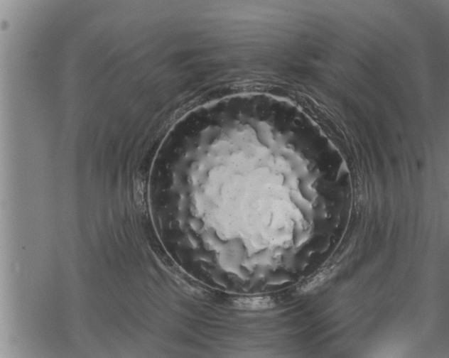 X0000068810281200605121258