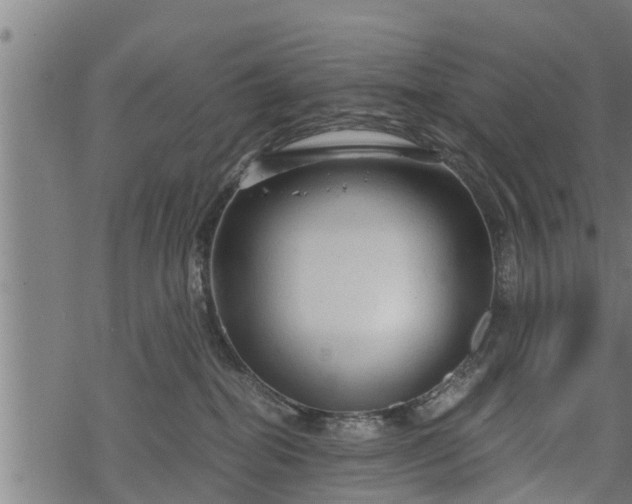 X0000068810282200605121258