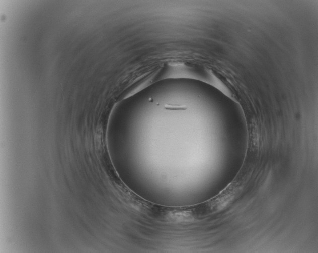 X0000068810283200605121258