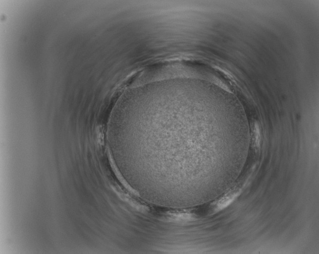 X0000068810284200605121258