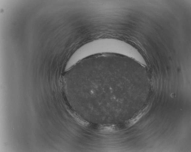 X0000068810285200605121258