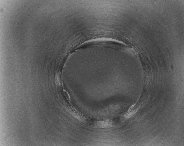 X0000068810286200605121258