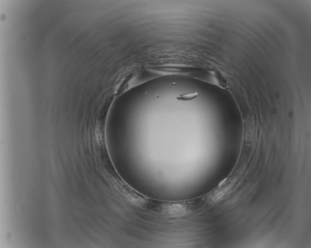 X0000068810287200605121258