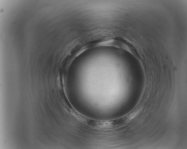 X0000068810288200605121258