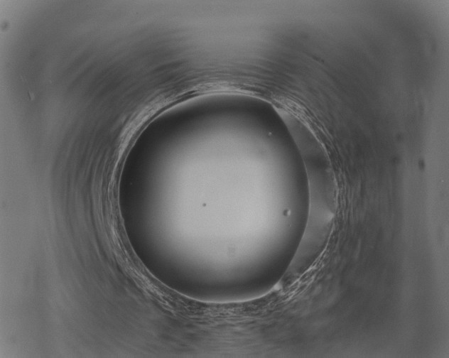 X0000068810289200605121257