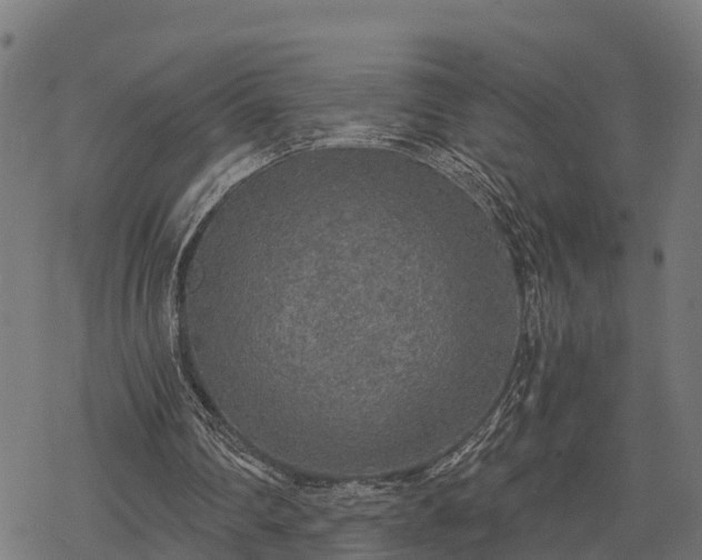 X0000068810290200605121257