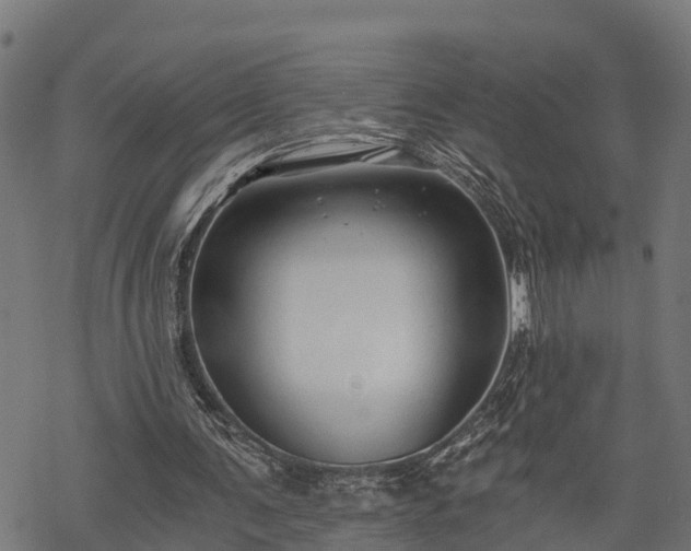 X0000068810291200605121257