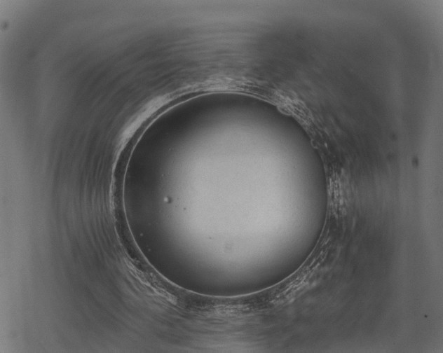 X0000068810292200605121257