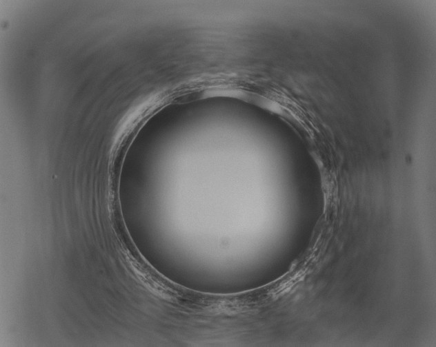 X0000068810293200605121257