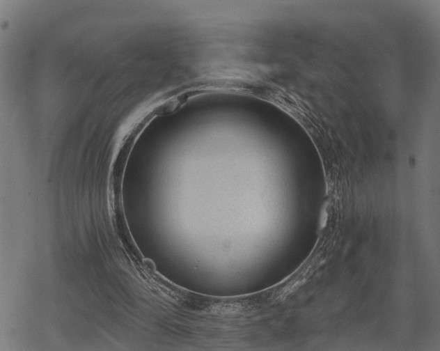 X0000068810294200605121257