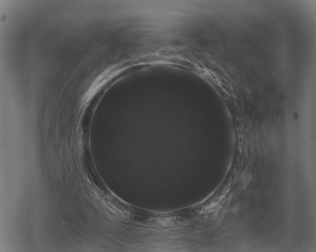 X0000068810295200605121257