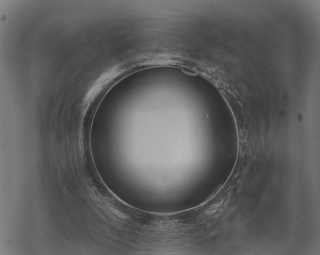 X0000068810296200605121257