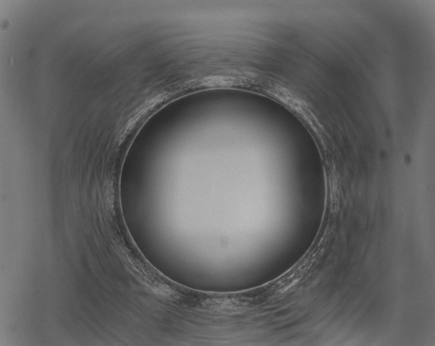 X0000068810297200605121257