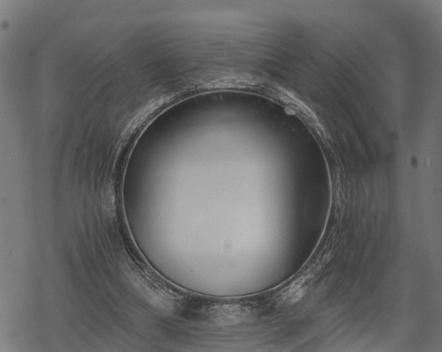 X0000068810298200605121257