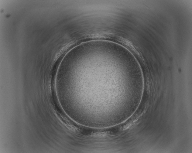 X0000068810299200605121257