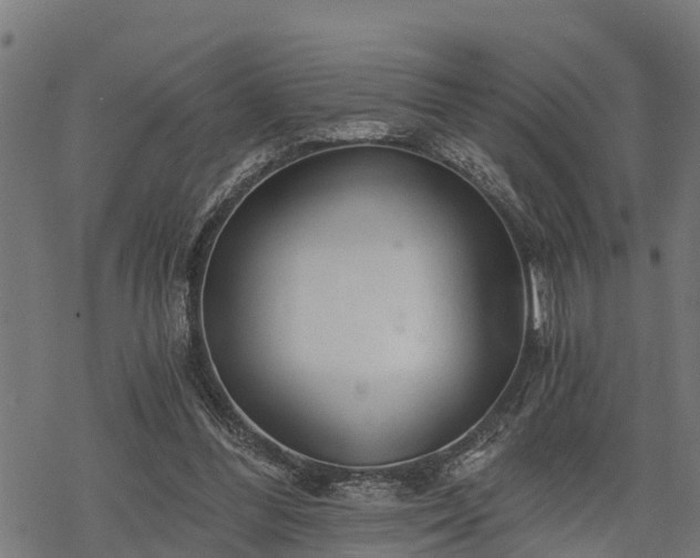 X0000068810300200605121257