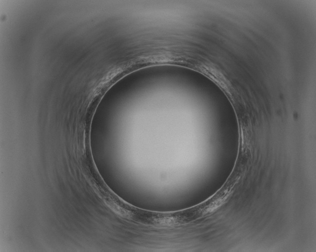 X0000068810301200605121257