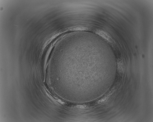 X0000068810302200605121257