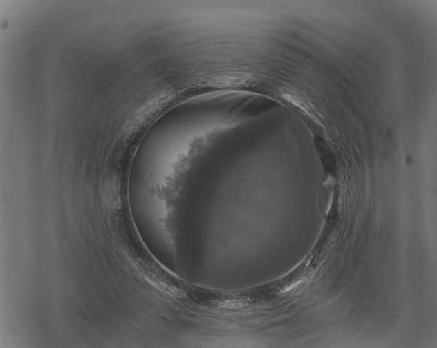 X0000068810303200605121257