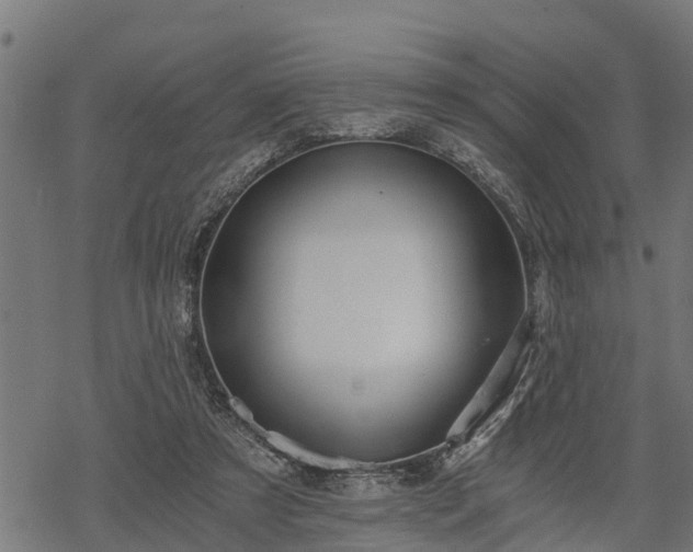 X0000068810305200605121257