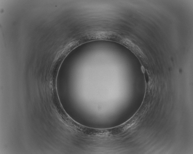 X0000068810306200605121257