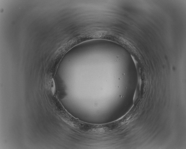 X0000068810307200605121257