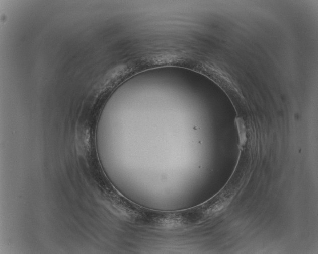 X0000068810308200605121257