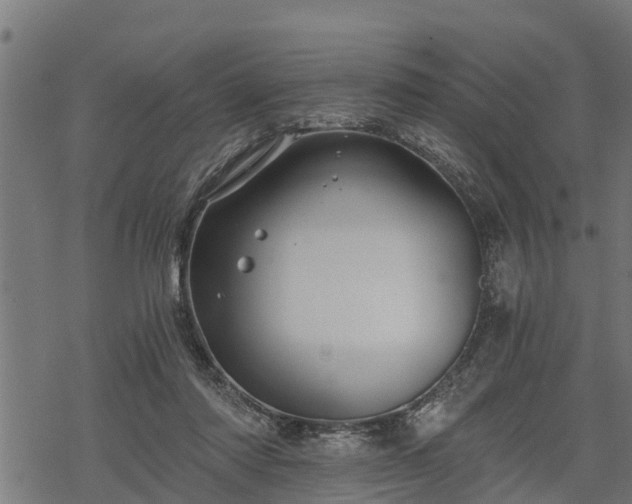 X0000068810310200605121257