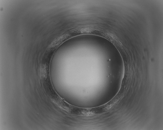 X0000068810311200605121257