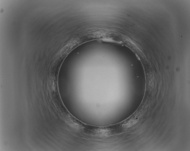 X0000068810313200605121257