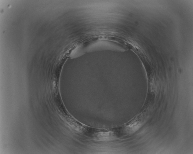 X0000068810314200605121257