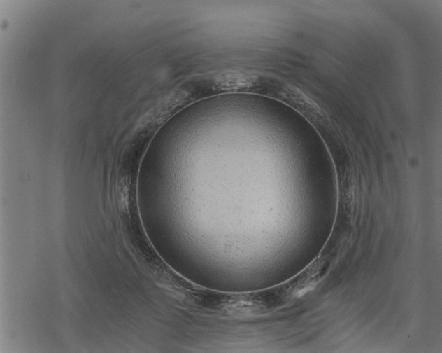 X0000068810315200605121257