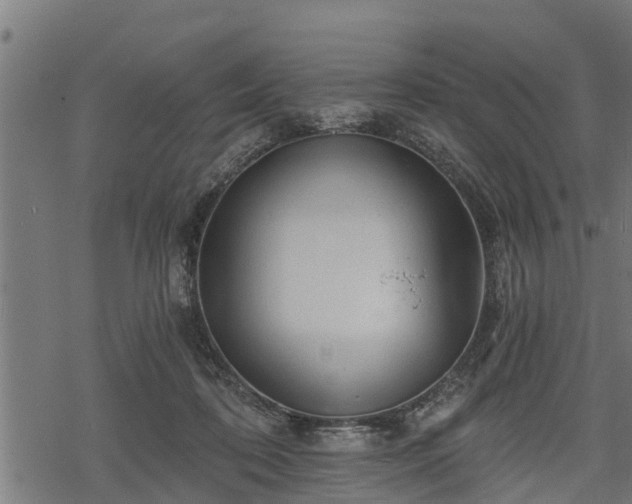 X0000068810316200605121257