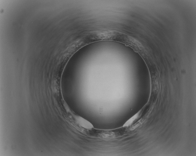 X0000068810317200605121257