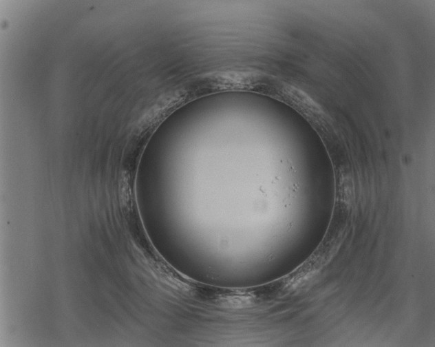 X0000068810318200605121257