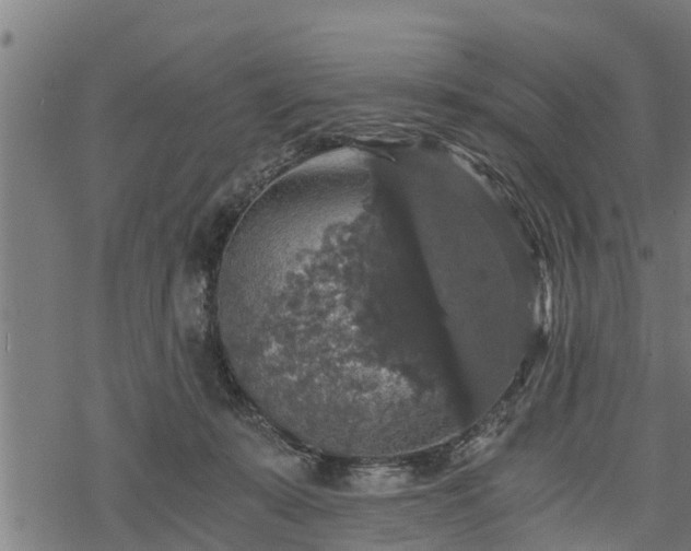 X0000068810319200605121257