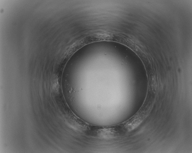 X0000068810320200605121257