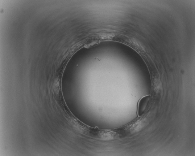 X0000068810321200605121257