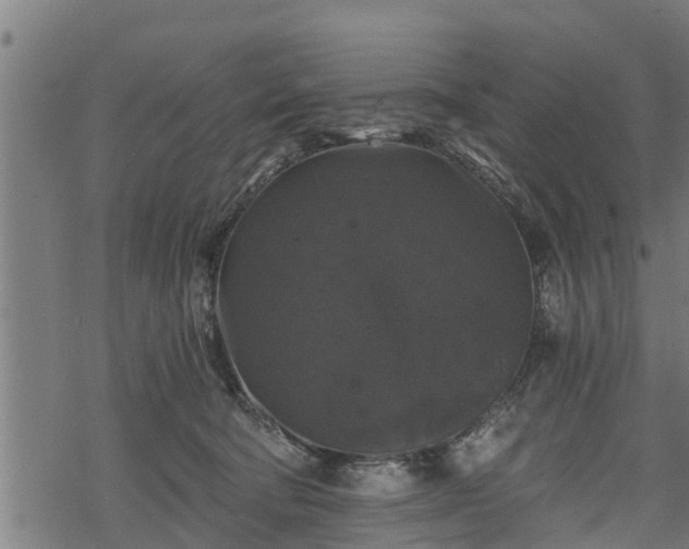 X0000068810322200605121257