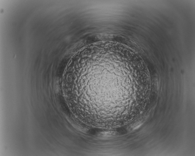 X0000068810323200605121257