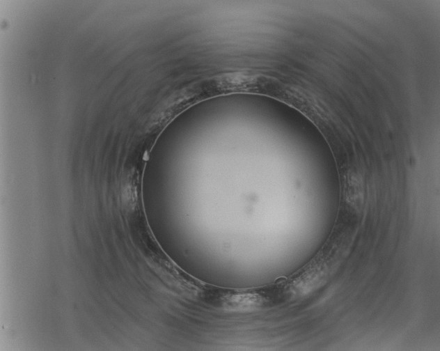 X0000068810324200605121257