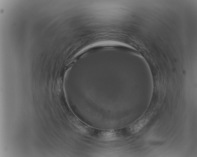 X0000068810325200605121257