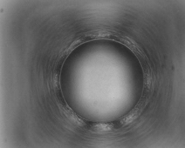 X0000068810326200605121257