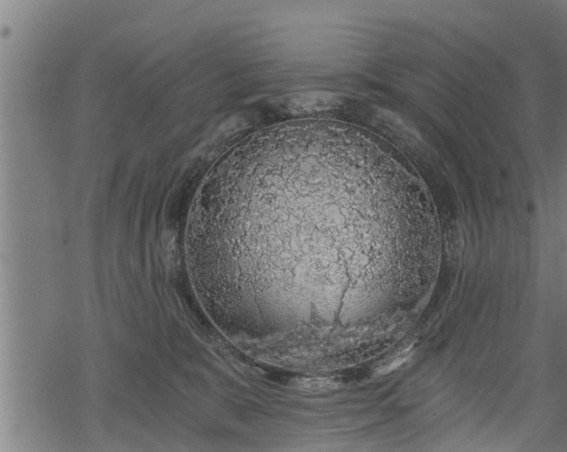 X0000068810327200605121257