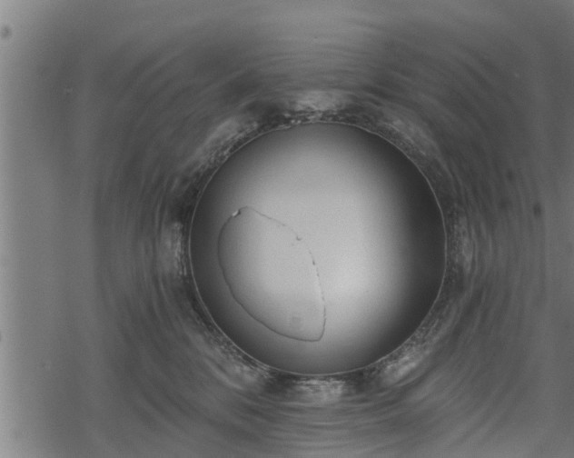 X0000068810328200605121257