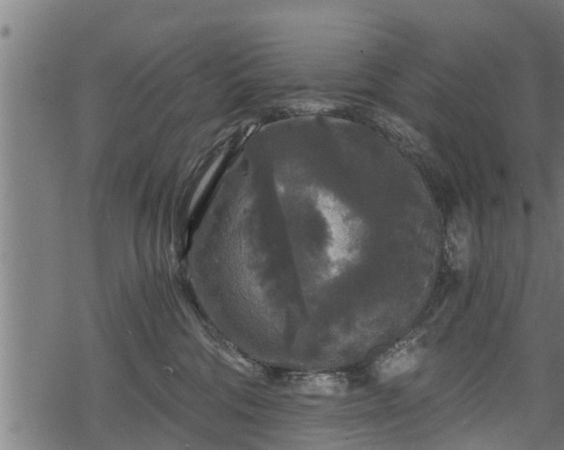 X0000068810330200605121257