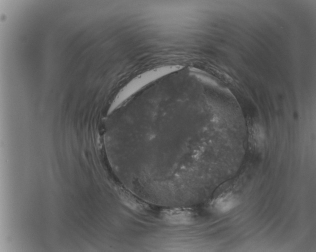 X0000068810331200605121257